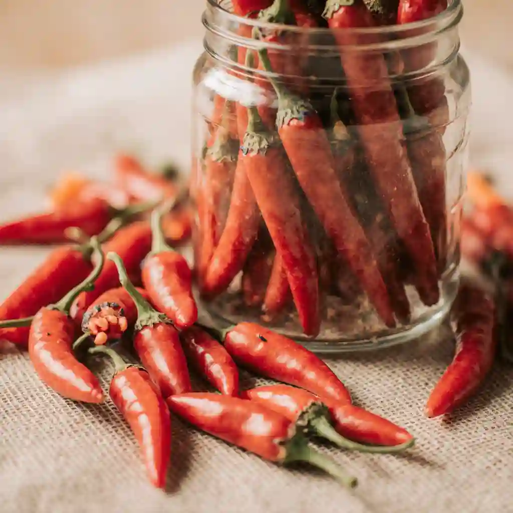 Fresh Pequin Pepper on a rustic kitchen counter surrounded by ingredients like garlic, cilantro, and salsa
